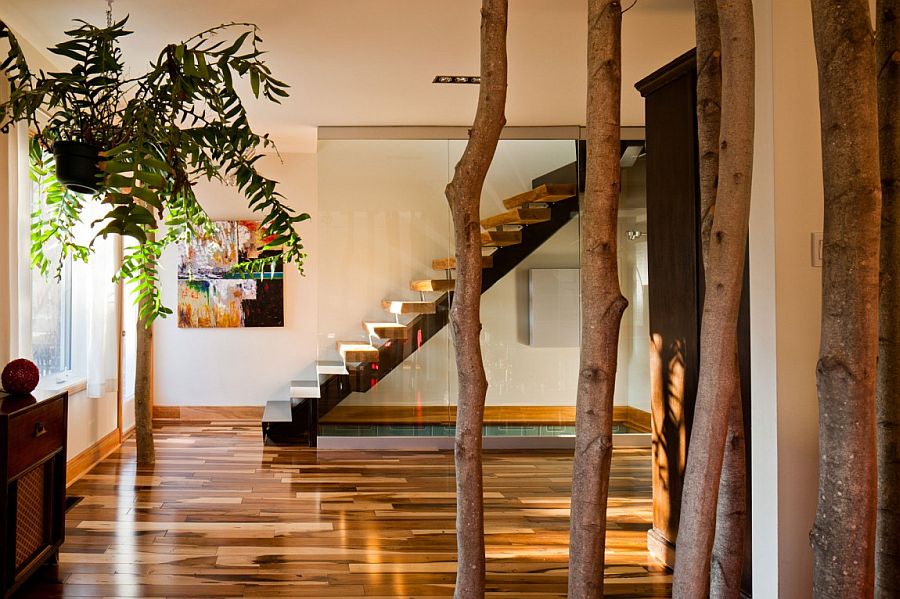 Snazzy staircase design with glass wall and floating wooden stairs