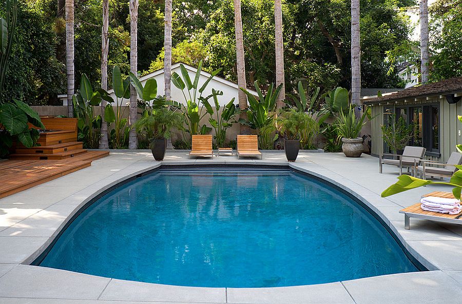 Unique pool design with concrete coping and pool decking [Design: Rebuilt / Brian Jones Photography]