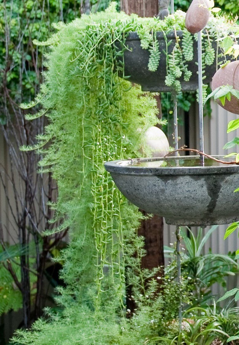 Beautiful hanging pot garden by Sustainable Garden Design Perth