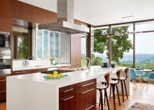 Beautiful-modern-kitchen-of-the-Austin-home-with-majestic-views-of-the-Bright-Leaf-preserve-217x155