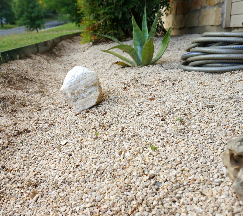 Consider adding more gravel to your garden