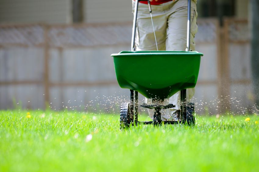 Fertilize your lawn with care