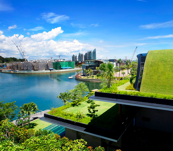 Fish-House-Green-Roof