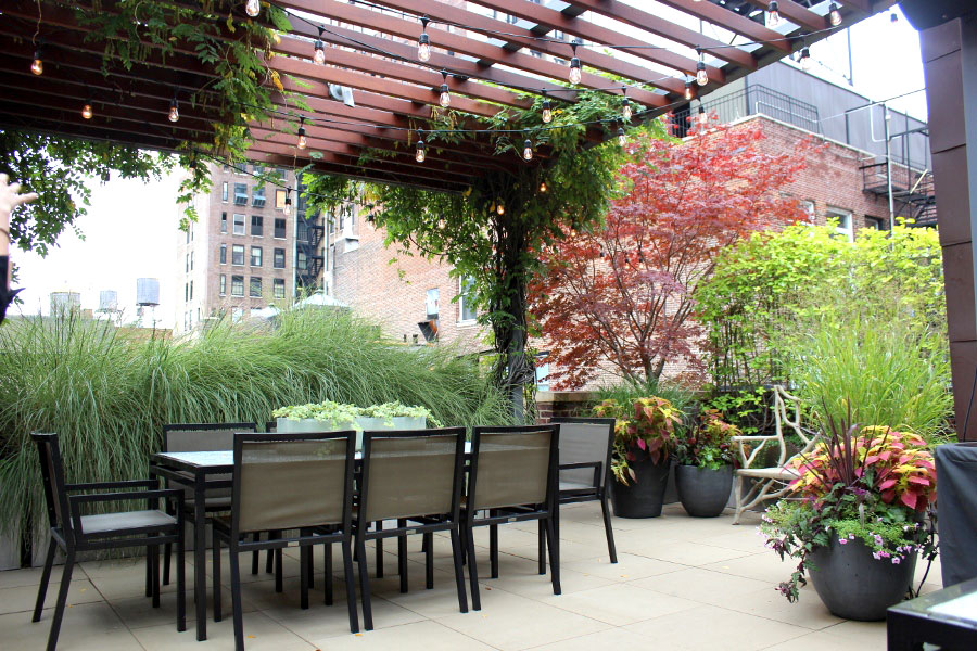 Glass Atrium in Violin-Inspired Penthouse Oasis