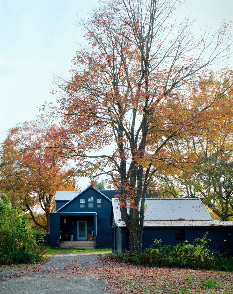 Idyllic backdrop in New York houses beautiful and vinatge Midcentury bungalow