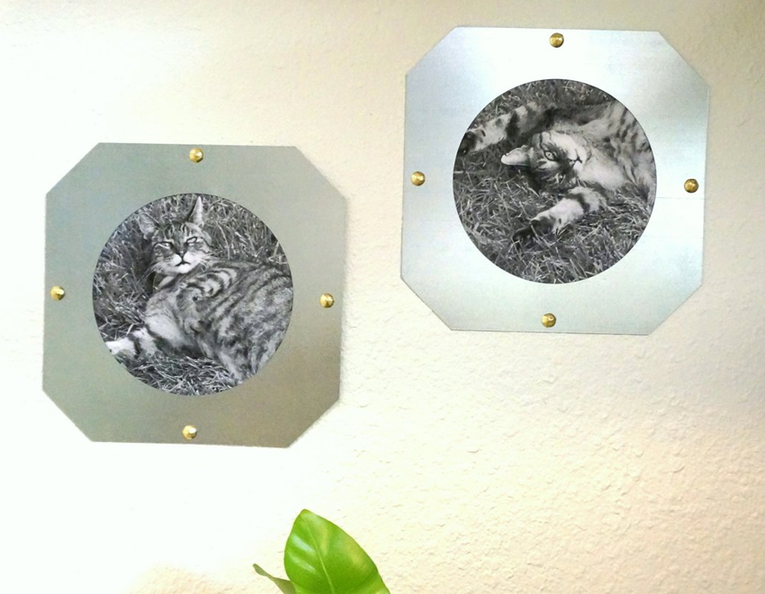 Industrial ceiling collar picture frame