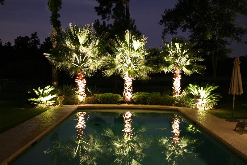 Landscaping lighting on poolside palm trees