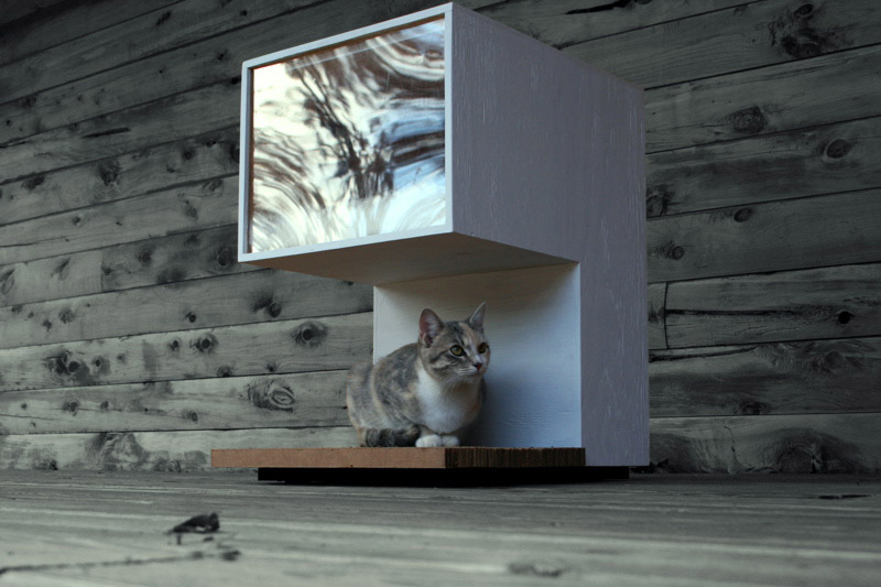 Leo Kempf Modern Cat House