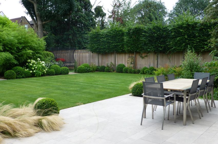 Lush lawn beside a modern patio