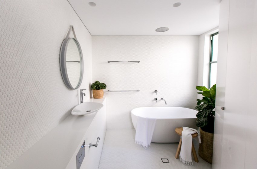 Modern bathroom with green plants