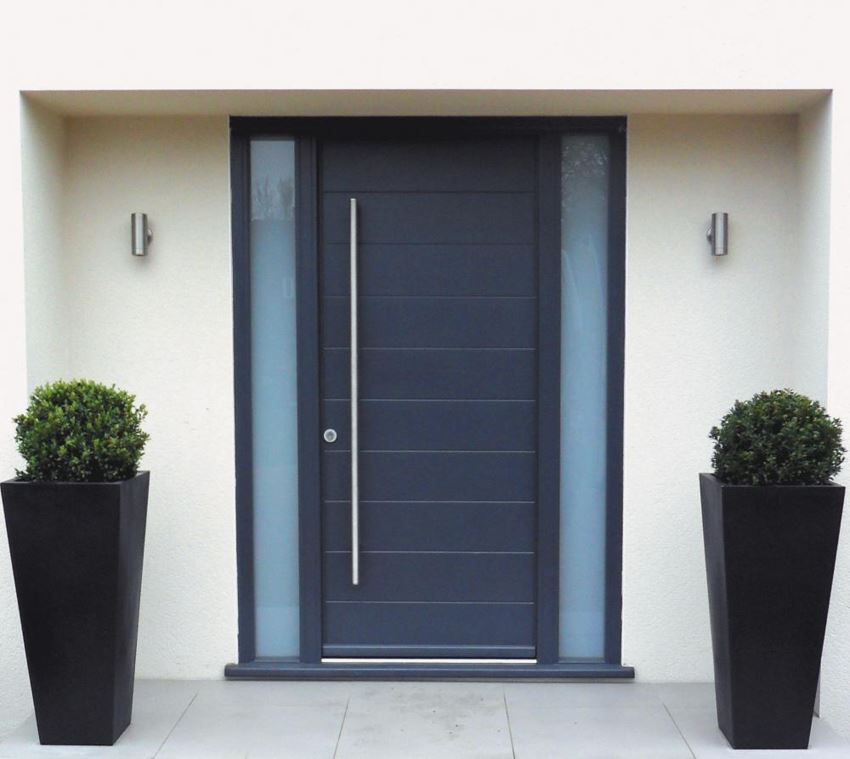 Modern planers on either side of a front door