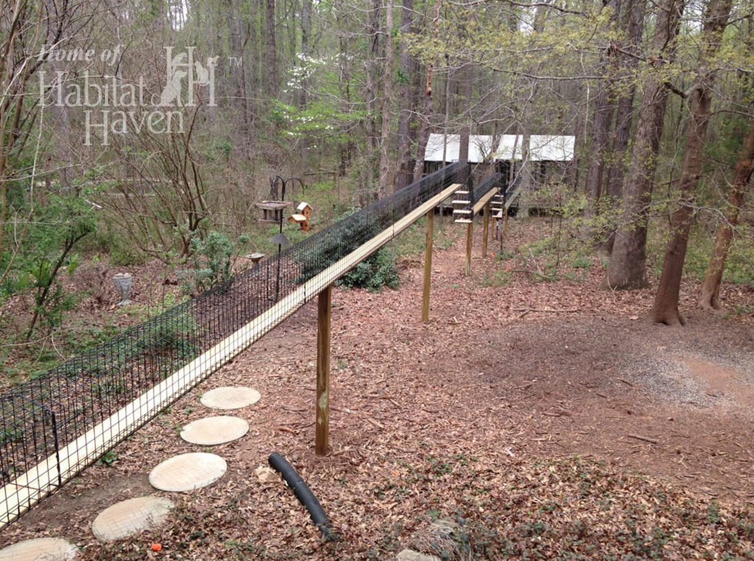 Outdoor enclosed cat walkway in Georgia