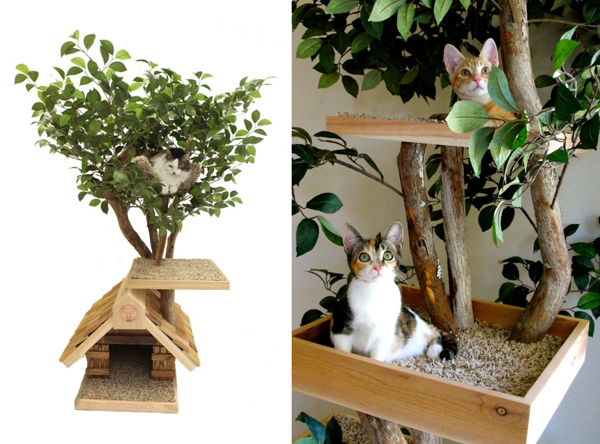 PetTreeHouse for Cats