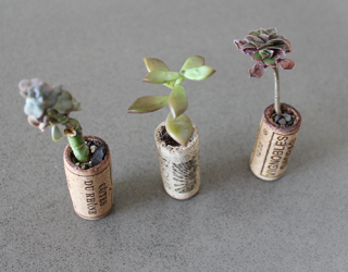 DIY: How to Make Adorable Recycled Wine Cork Planters for Under $10