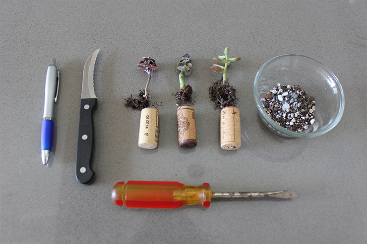 Supplies for wine cork planter DIY