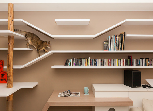 Taiwanese apartment with special cat-friendly climbing shelves