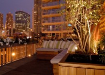 Tree-lighting-on-a-rooftop-lounge-217x155