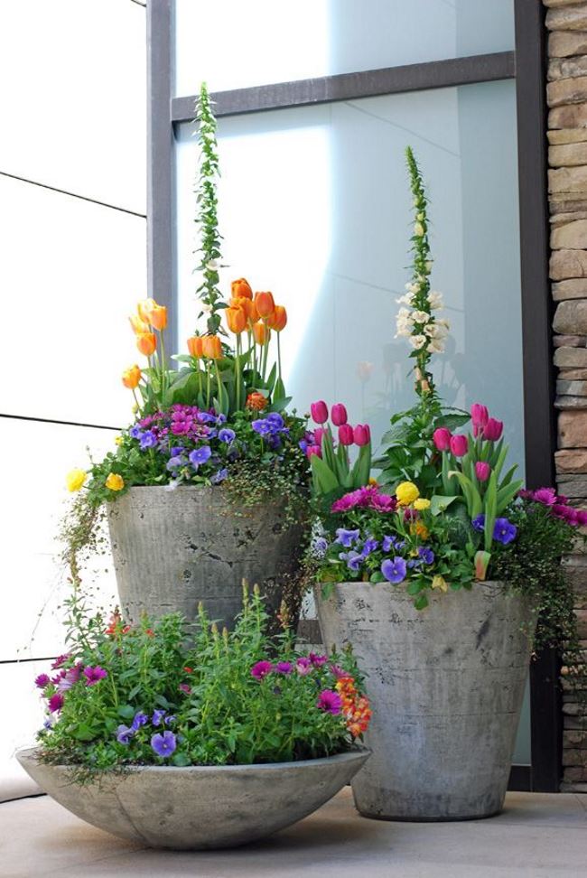 Trio of pots by a front entrance