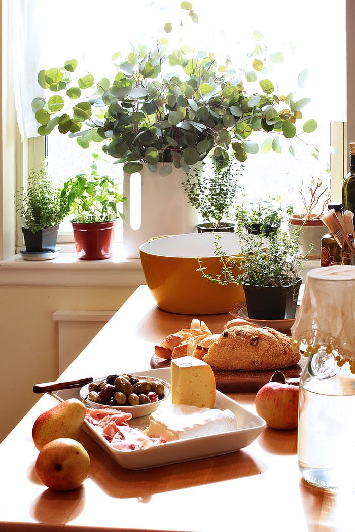 Turn to small planters for a simple indoor herb garden