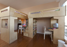 Two-Dumbo-loft-beds-share-storage-stairs-217x155
