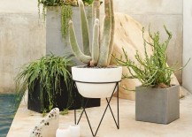 Variety-of-planters-from-West-Elm-217x155
