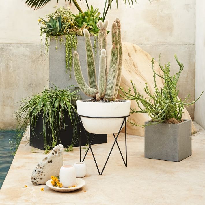 Variety of planters from West Elm