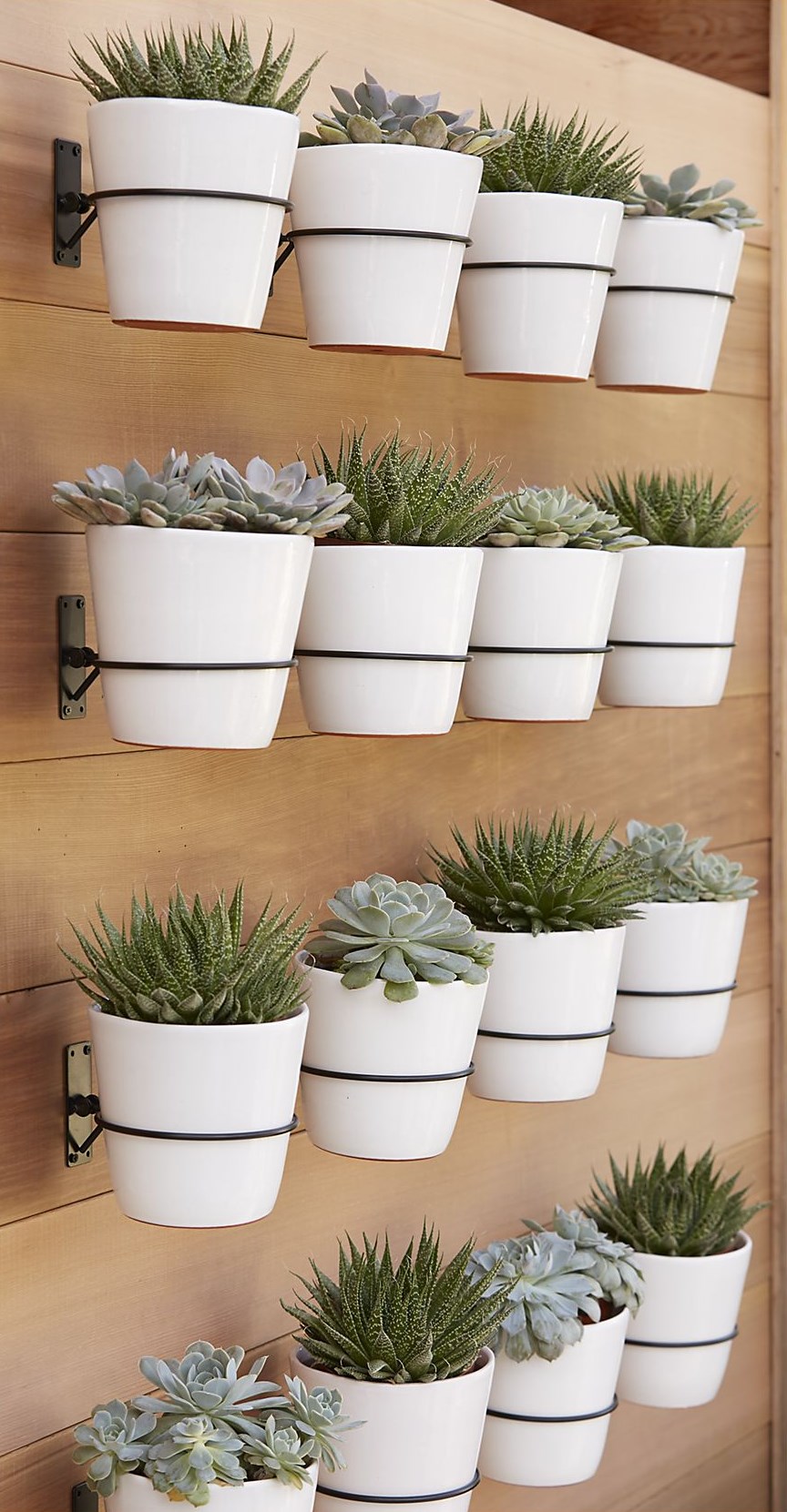 Wall planter hooks from Crate & Barrel