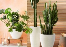 White-stone-planters-from-West-Elm-217x155