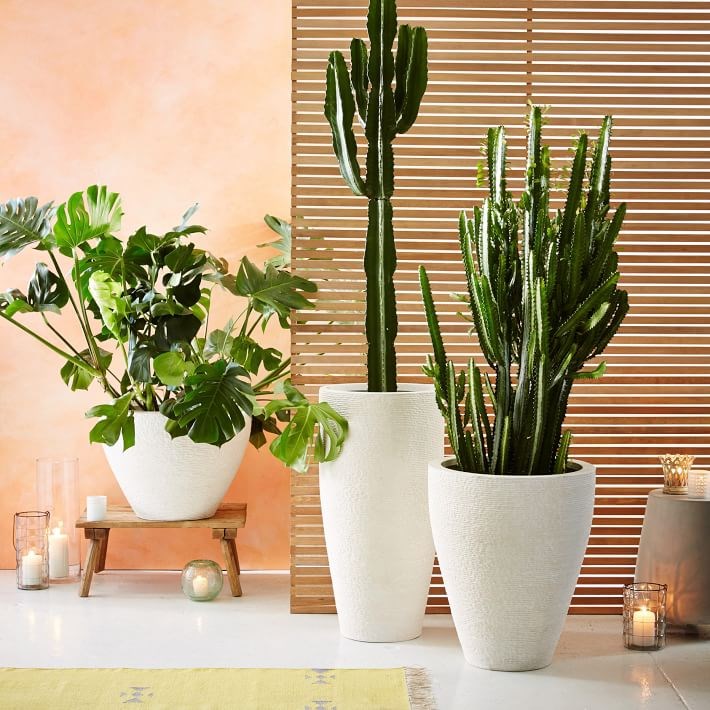 White stone planters from West Elm