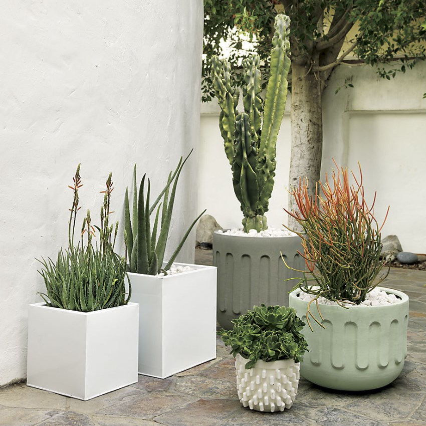 embossed planters from CB2