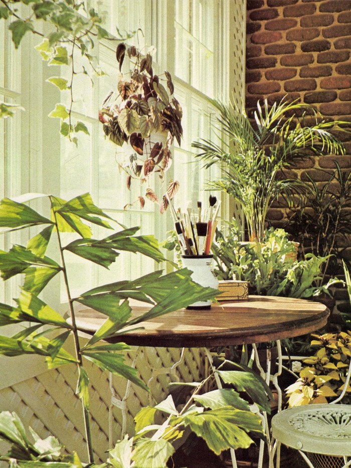 Brick, lattice and houseplants in a bright indoor space