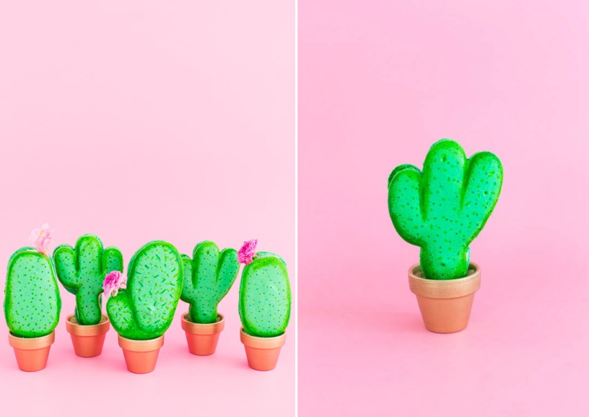 Cactus macarons from Sugar & Cloth