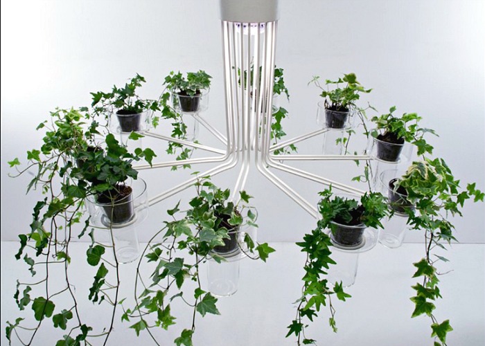 Trendy, modern chandelier planter