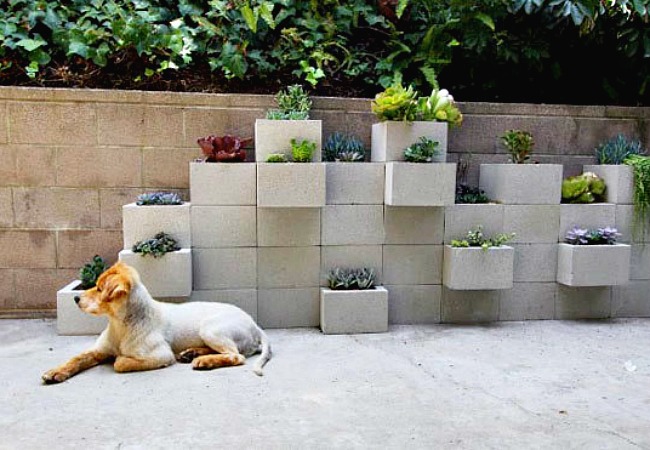 Once these plants start trailing over these cinder blocks they will look even lovelier