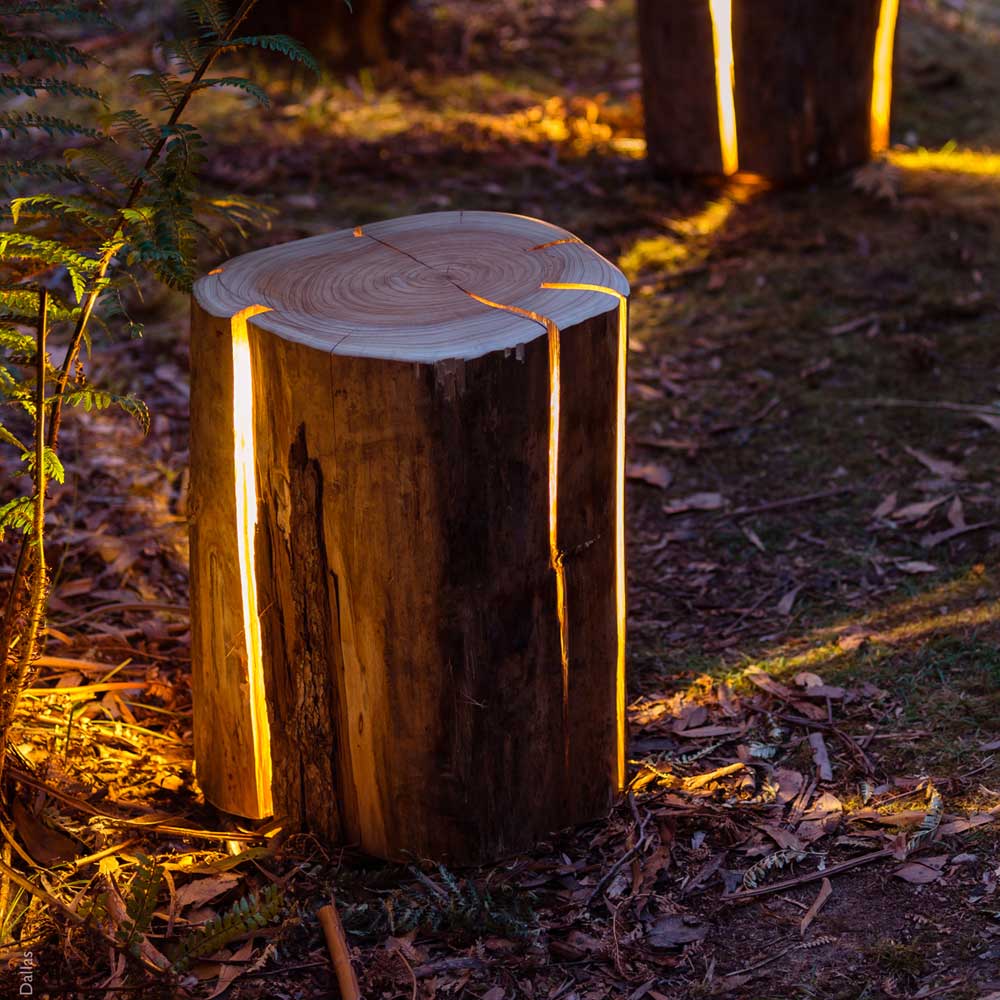 Duncan Meerding's Cracked Log Stool