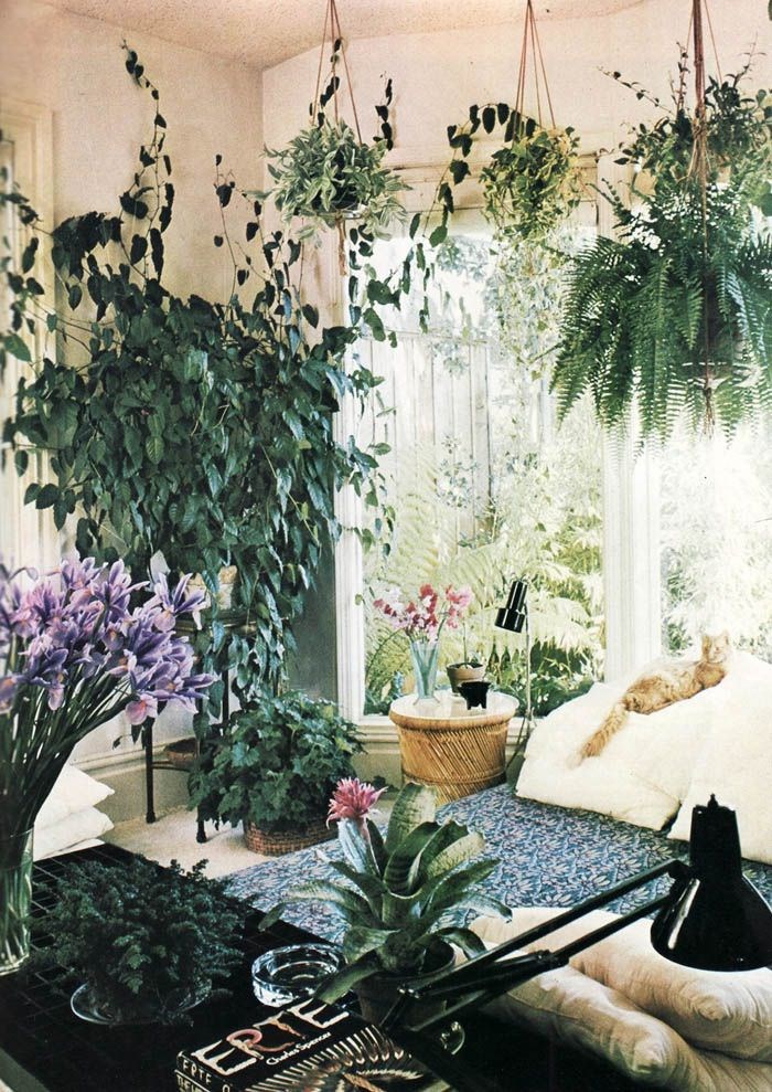 Light and airy plant-filled room