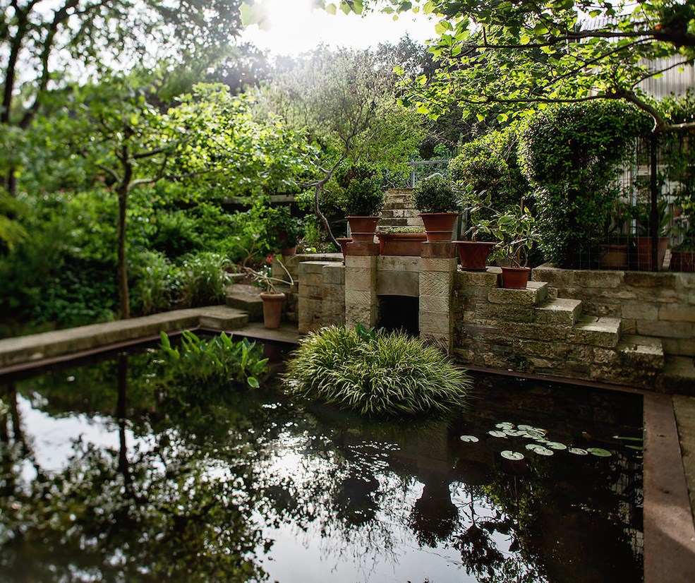 Lily pond in the garden of James David and Gary Peese