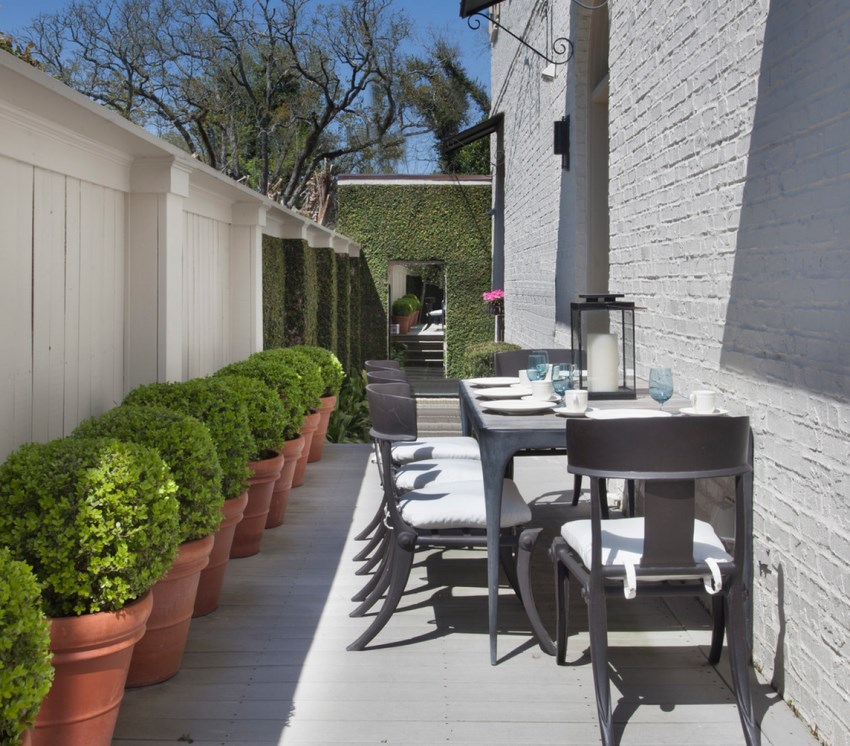 Manicured greenery in an outdoor dining area