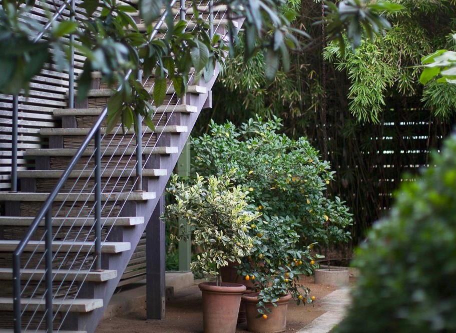 Potted plants at the Hotel San Jose