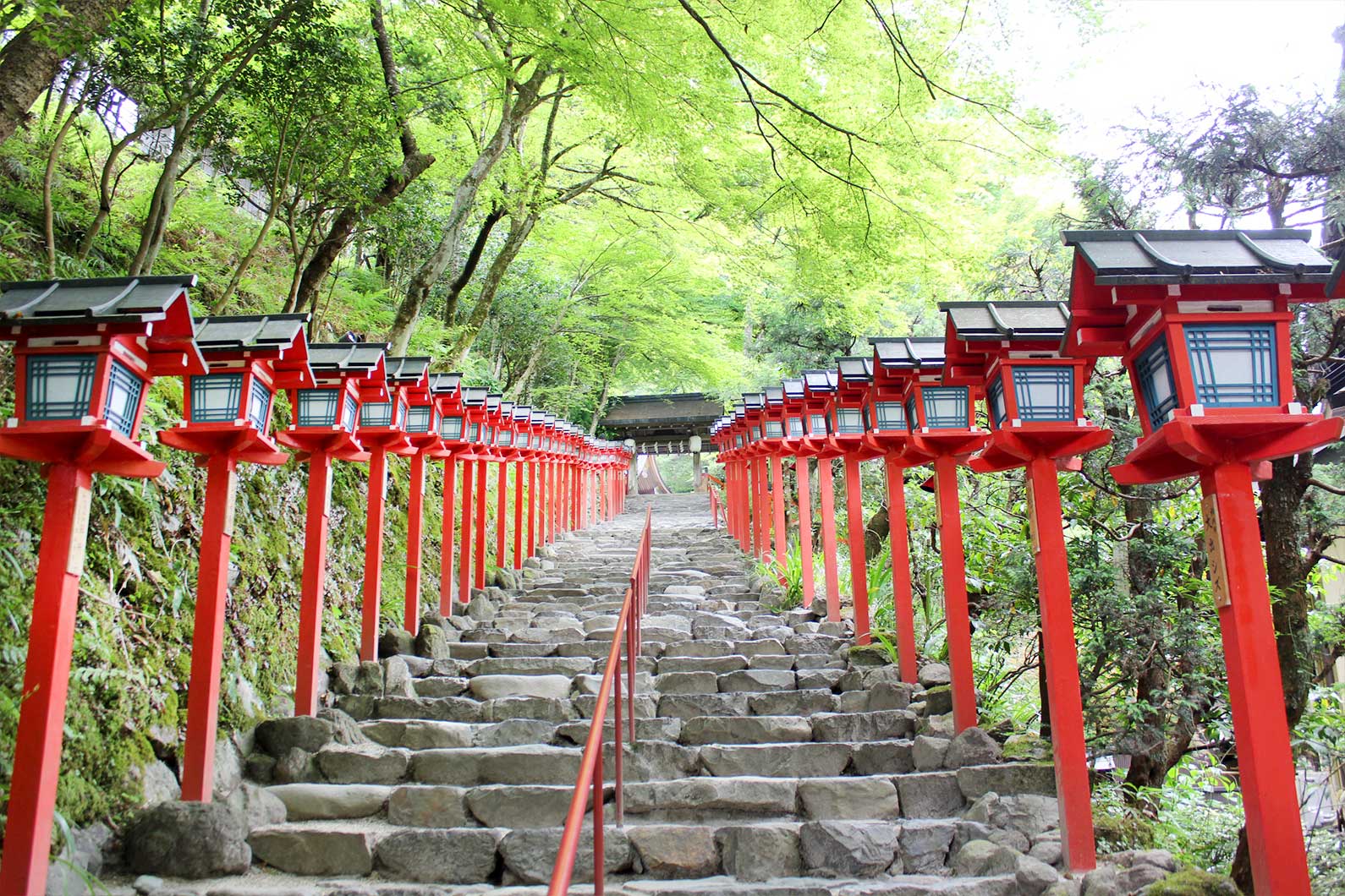 Red Lanterns Line the Walkway Up to Kifune Shrine