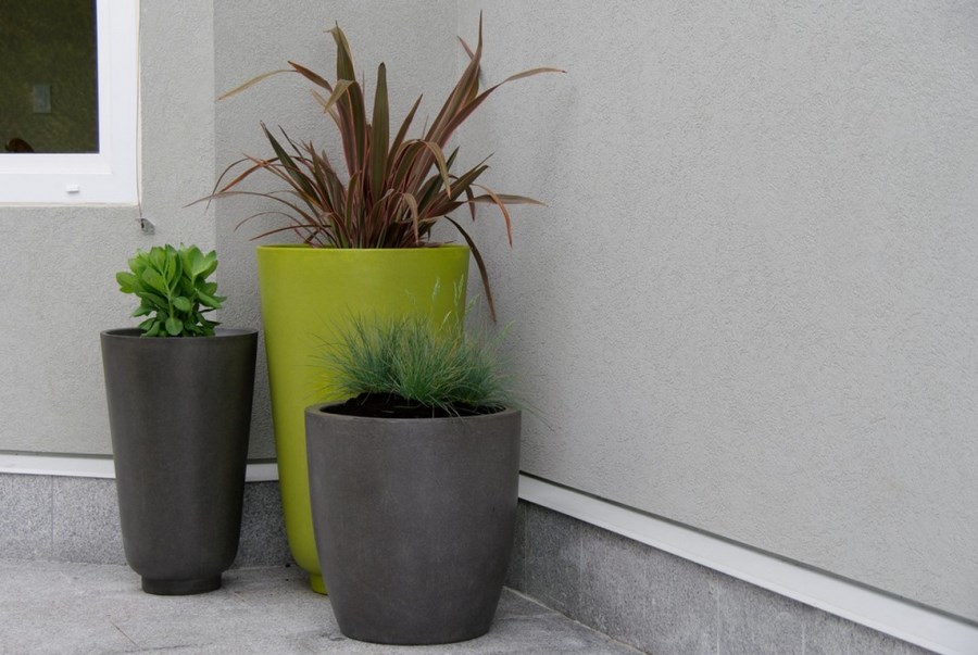 Striking grouping of container plants