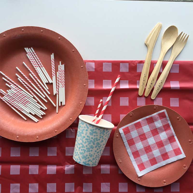 Susty Party 4th of July paper plates and cups