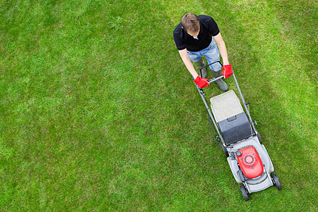 To mow or not to mow (your own lawn)