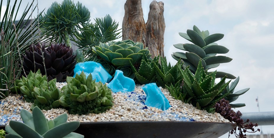 Use your planter as a landscape and tell a story
