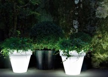 Vas-Outdoor-Illuminated-Planter-LED-217x155