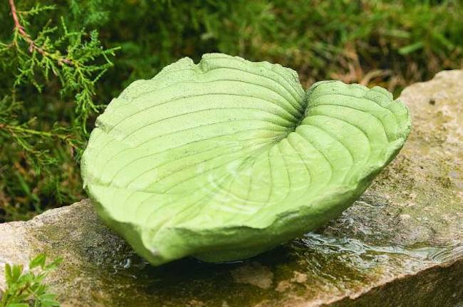 birdbath leaf 1