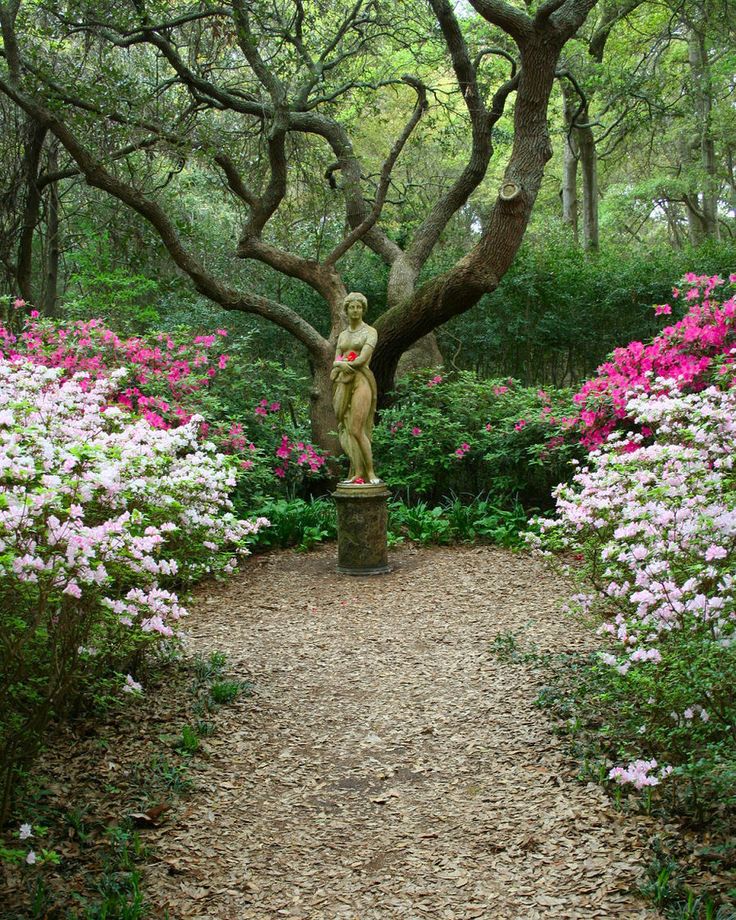 Let the garden statue become the focal point of the landscape