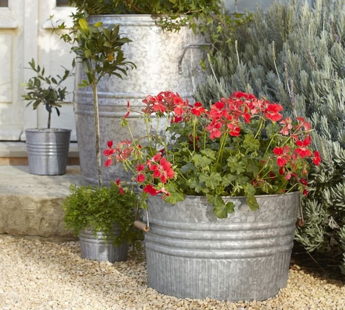 Smart, modern planters come in various shapes, sizes and materials
