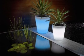 Solar-Powered Decorative Ideas to Light Up Your Yard