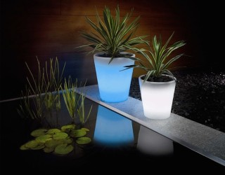 Solar-Powered Decorative Ideas to Light Up Your Yard